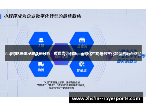 西甲球队未来发展战略分析:聚焦青训创新、全球化布局与数字化转型的融合路径 西甲球队未来发展战略分析:聚焦青训创新、全球化布局与数字化转型的融合路径